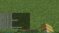 (Image via Minecraft)